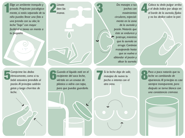 Extracción de leche materna paso a paso