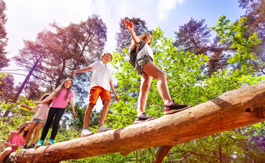 Campamento de verano